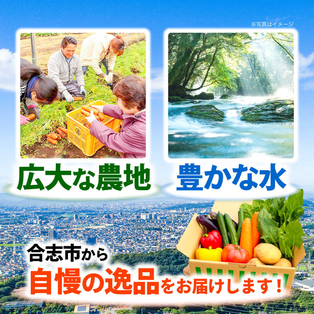 【ふるさと納税】【最短2週間以内発送】合志の旬のお野菜セット 15〜16品 野菜 野菜セット 詰め合わせ 直送 産地直送 国産 九州産 送料無料 旬 野菜 セット 冷蔵 クール便 熊本産 【一般社団法人クラッシーノこうし】[AYAB112] - 画像3