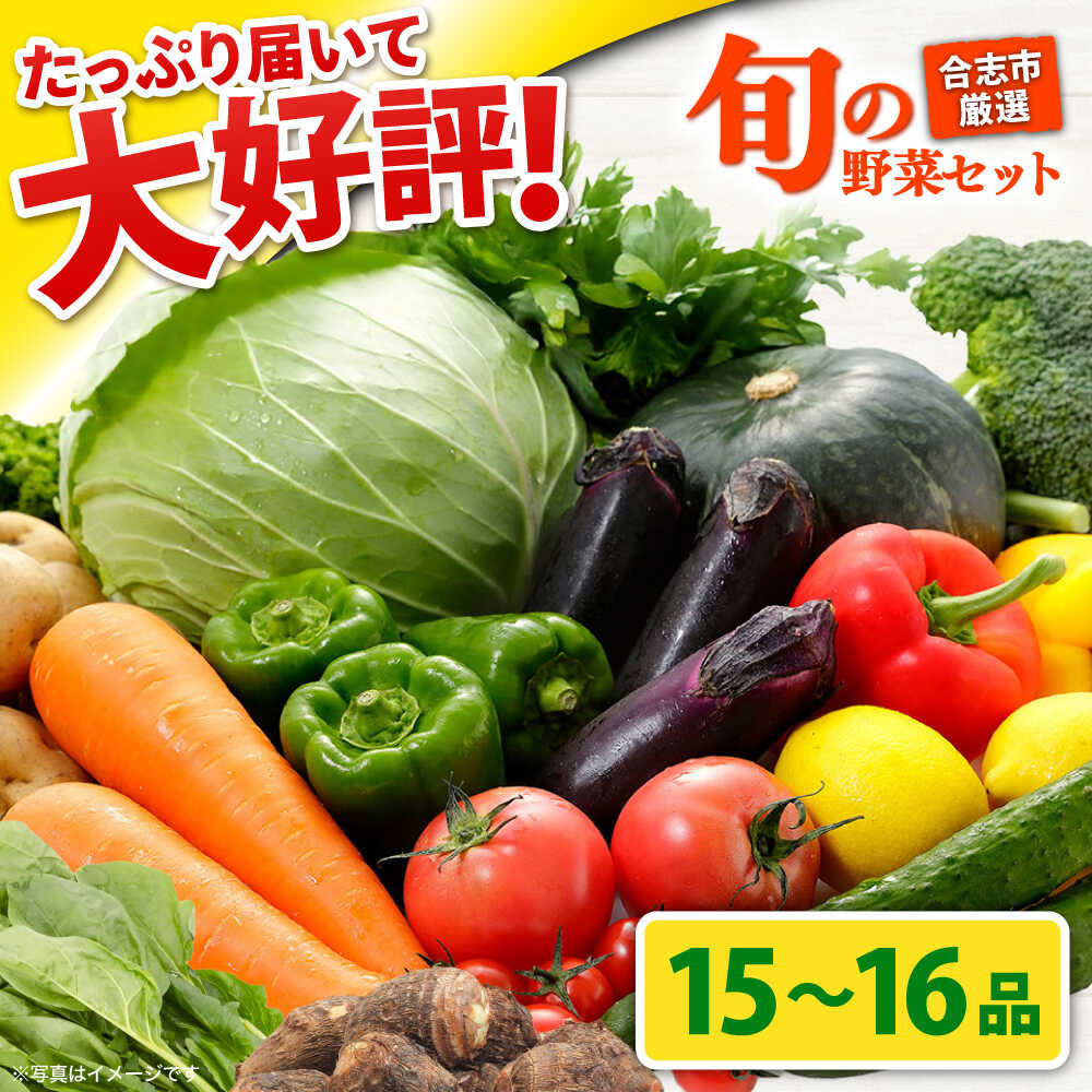 【最短2週間以内発送】合志の旬のお野菜セット 15〜16品 野菜 野菜セット 詰め合わせ 直送 産地直送 国産 九州産 送料無料 旬 野菜 セット 冷蔵 クール便 熊本産 【一般社団法人クラッシーノこうし】[AYAB112]