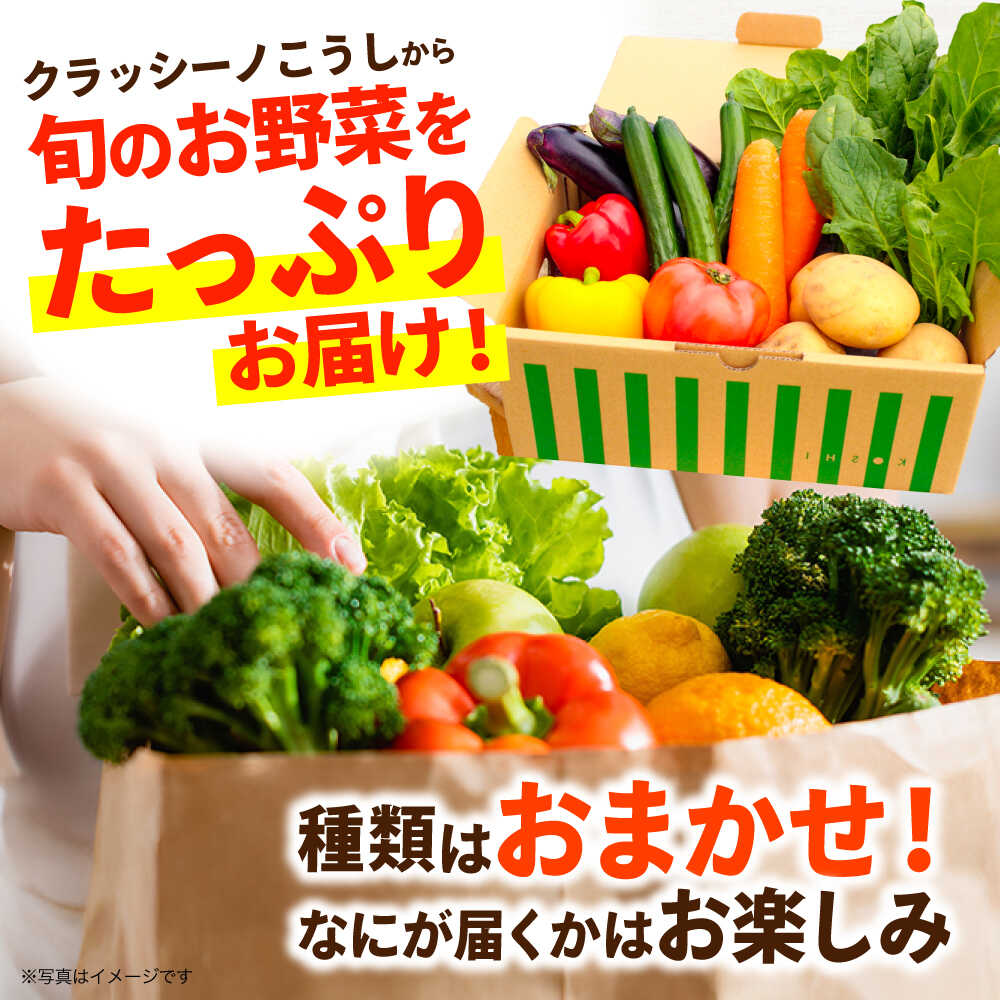【ふるさと納税】【最短2週間以内発送】旬のお野菜セット 10〜12品 野菜 やさい 野菜セット 詰め合わせ 直送 産地直送 国産 九州産 新鮮 送料無料 旬 おすすめ 野菜 セット 人気 野菜 冷蔵 クール便 熊本県産 熊本県 合志市 【一般社団法人クラッシーノこうし】[AYAB008] サムネイル2