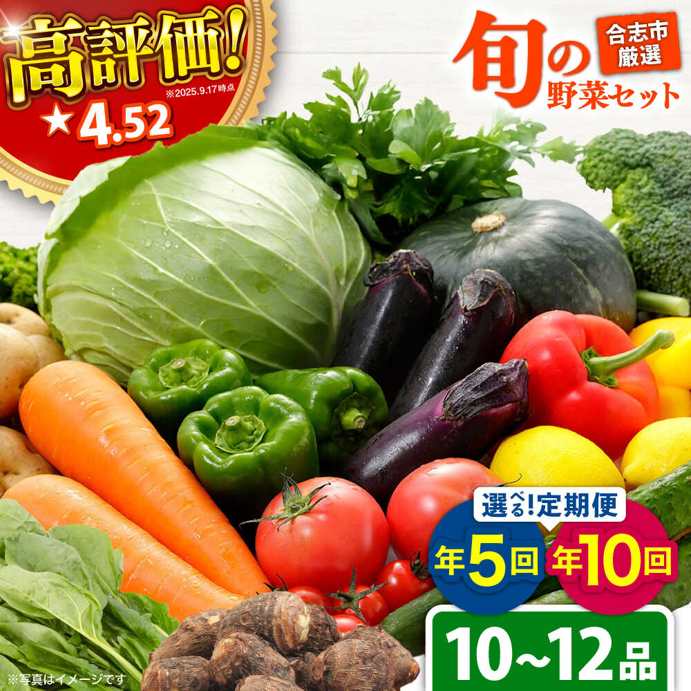 〈選べるお届け回数！〉＼レビューキャンペーン／旬のお野菜セット 10〜12品 野菜 詰め合わせ おまかせ ランダム 産地直送 国産 九州産 新鮮 送料無料 旬 おすすめ 直送 セット 季節 詰合せ 人気 野菜 【一般社団法人クラッシーノこうし】[AYAB008]