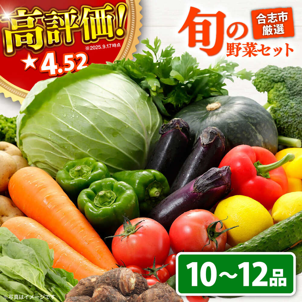 【最短2週間以内発送】旬のお野菜セット 10〜12品 野菜 やさい 野菜セット 詰め合わせ 直送 産地直送 国産 九州産 新鮮 送料無料 旬 おすすめ 野菜 セット 人気 野菜 冷蔵 クール便 熊本県産 熊本県 合志市 【一般社団法人クラッシーノこうし】[AYAB008]