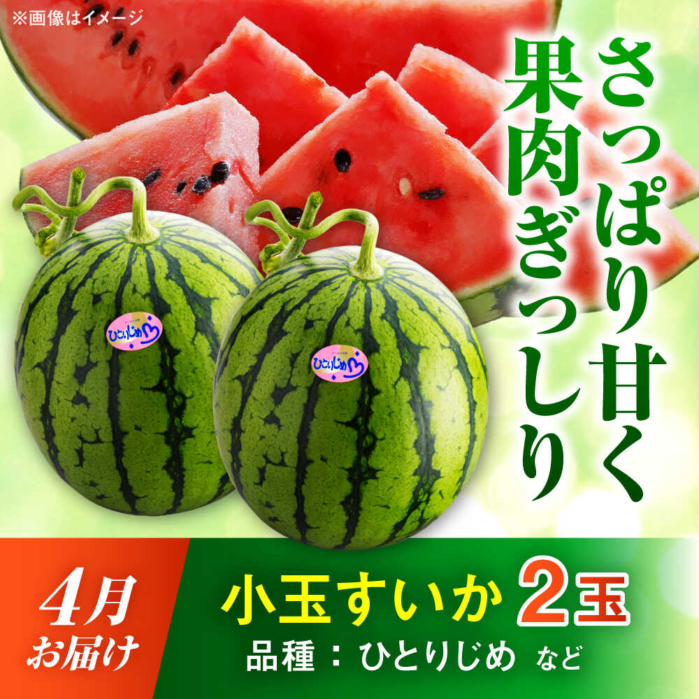 【ふるさと納税】【2026年発送分 先行予約】【数量限定】【全3回定期便】 すいか 3種 食べ比べ セット 定期便 計5玉（小玉2 大玉1 黒小玉2） スイカ 果物 フルーツ 【一般社団法人クラッシーノこうし】[AYAB030] サムネイル2