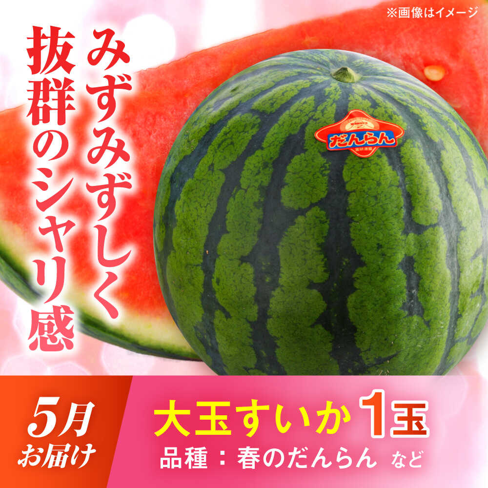 【ふるさと納税】【2026年発送分 先行予約】【数量限定】【全3回定期便】 すいか 3種 食べ比べ セット 定期便 計5玉（小玉2 大玉1 黒小玉2） スイカ 果物 フルーツ 【一般社団法人クラッシーノこうし】[AYAB030] サムネイル3