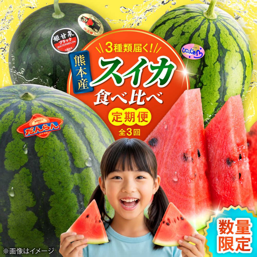 【2026年発送分 先行予約】【数量限定】【全3回定期便】 すいか 3種 食べ比べ セット 定期便 計5玉（小玉2 大玉1 黒小玉2） スイカ 果物 フルーツ 【一般社団法人クラッシーノこうし】[AYAB030]