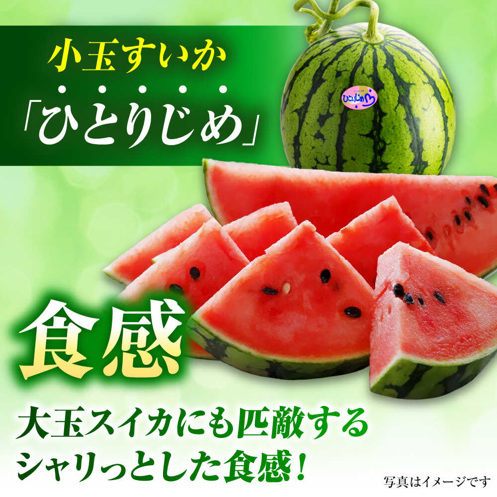 【ふるさと納税】【2026年発送分 先行予約】【数量限定】小玉すいか 2玉入（1玉 約3kg） 　【一般社団法人クラッシーノこうし】[AYAB056] サムネイル2