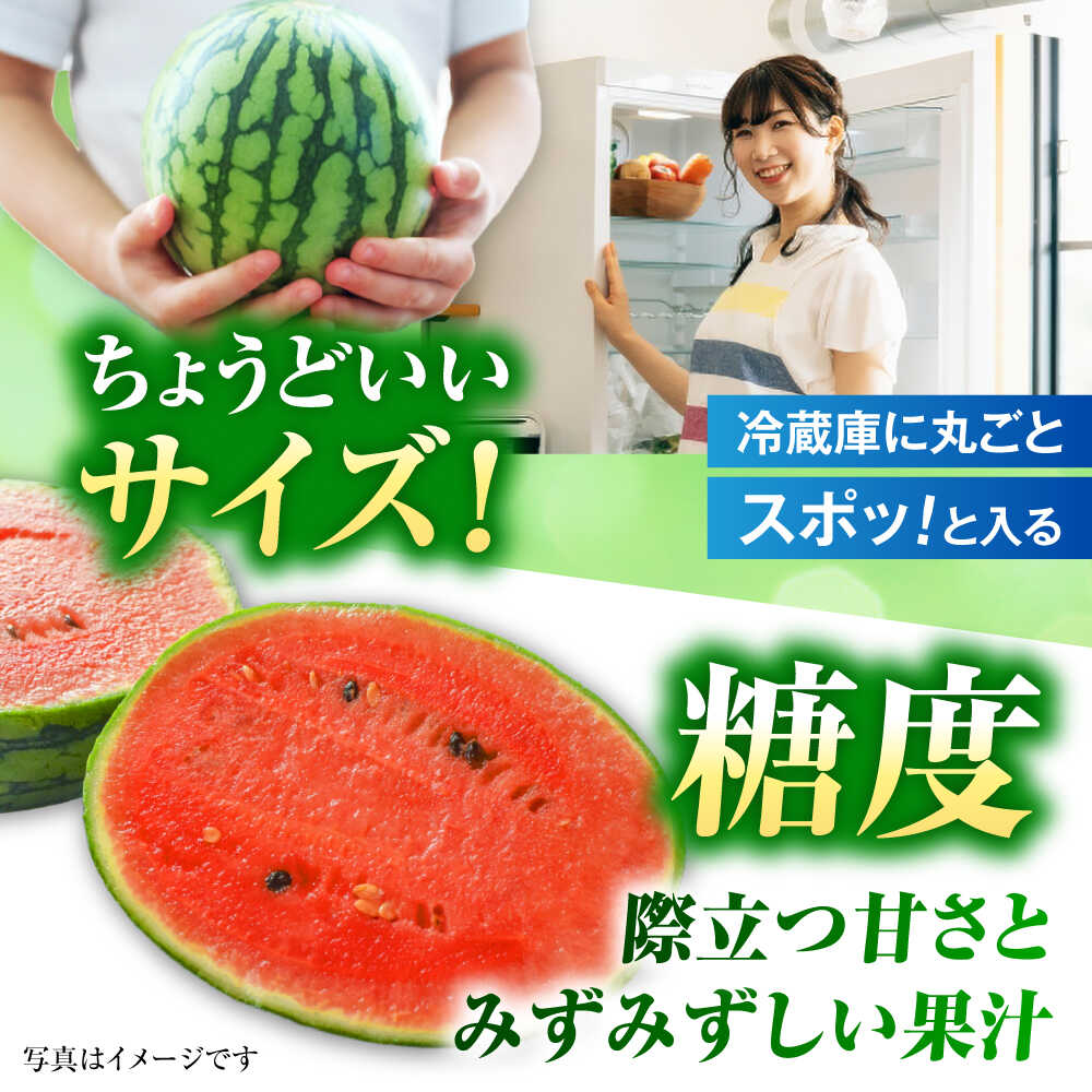 【ふるさと納税】【2026年発送分 先行予約】【数量限定】小玉すいか 2玉入（1玉 約3kg） 　【一般社団法人クラッシーノこうし】[AYAB056] サムネイル3