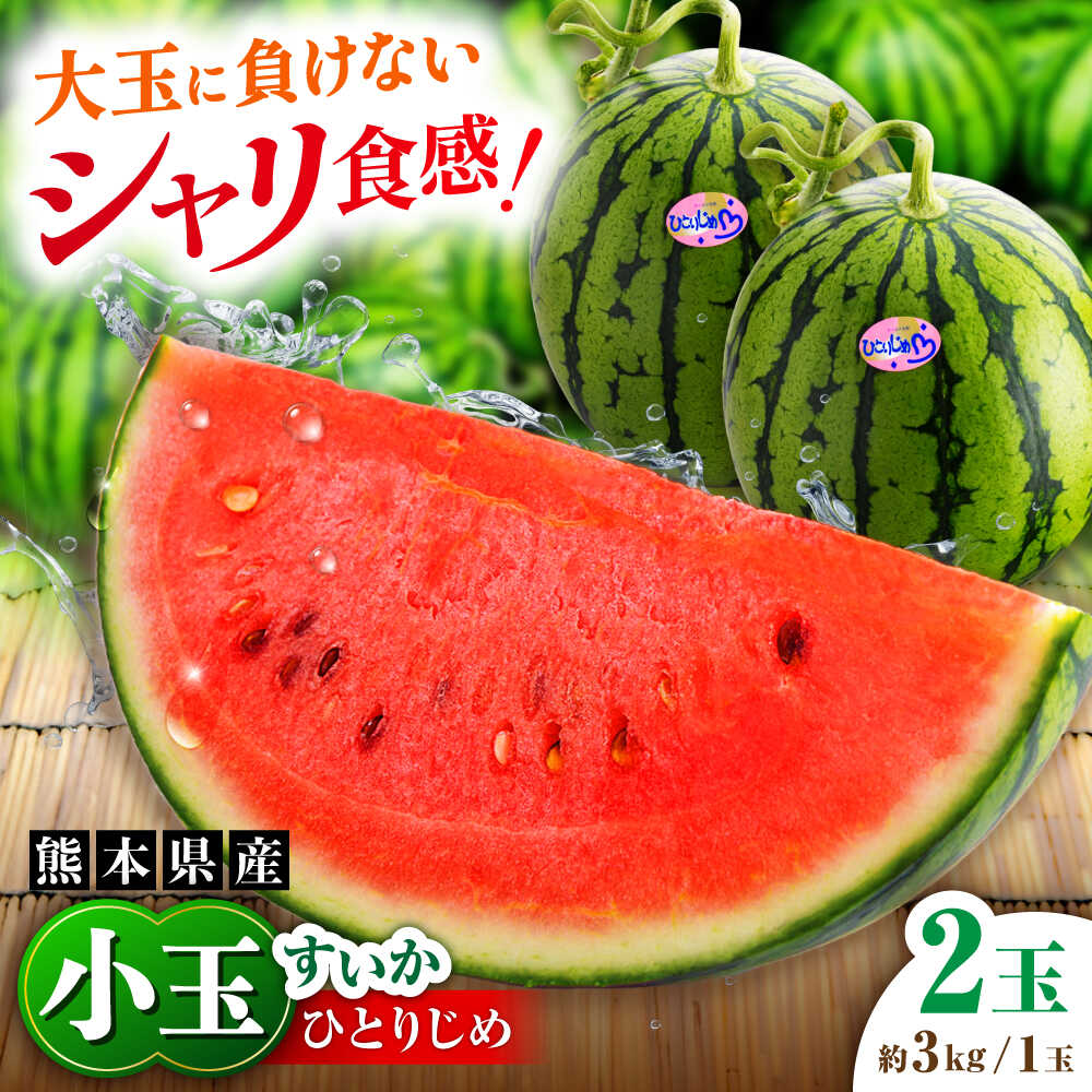 【2026年発送分 先行予約】【数量限定】小玉すいか 2玉入（1玉 約3kg） 　【一般社団法人クラッシーノこうし】[AYAB056]