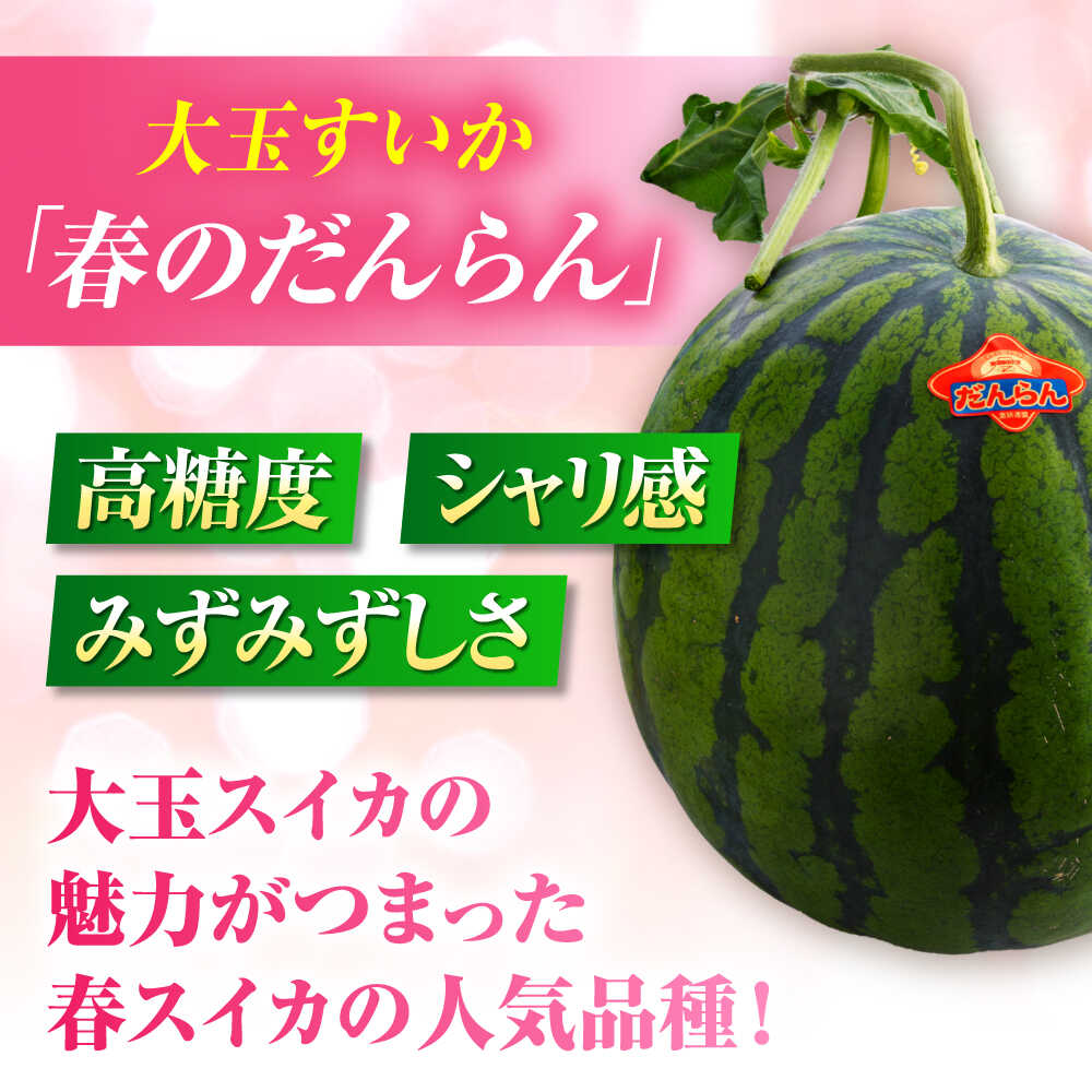【ふるさと納税】【2026年発送分 先行予約】【数量限定】大玉すいか 2玉入（1玉 約5kg） 【一般社団法人クラッシーノこうし】[AYAB057] サムネイル2
