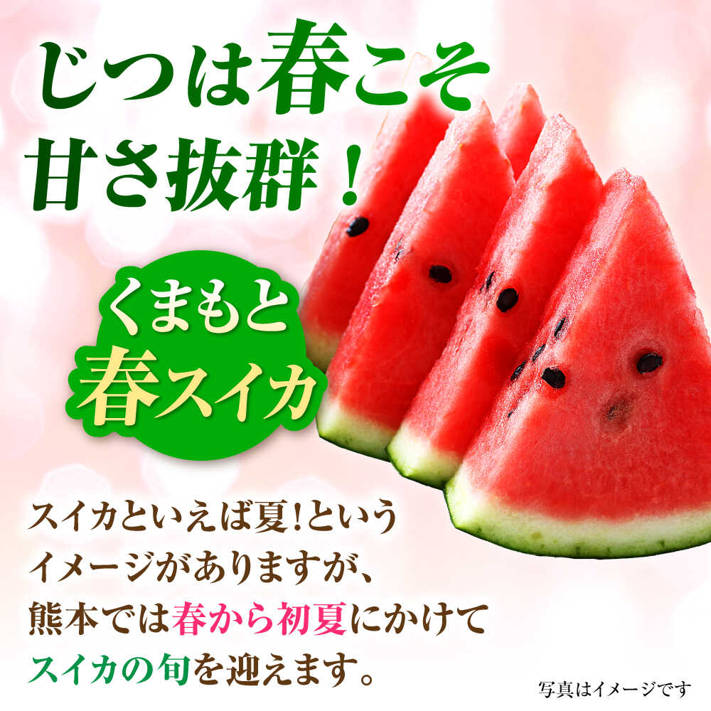 【ふるさと納税】【2026年発送分 先行予約】【数量限定】大玉すいか 2玉入（1玉 約5kg） 【一般社団法人クラッシーノこうし】[AYAB057] サムネイル3