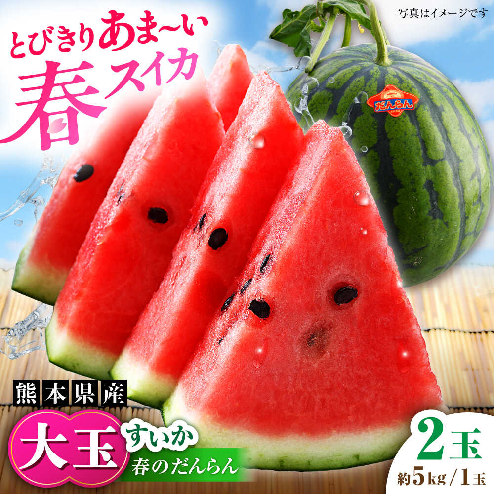 【2026年発送分 先行予約】【数量限定】大玉すいか 2玉入（1玉 約5kg） 【一般社団法人クラッシーノこうし】[AYAB057]