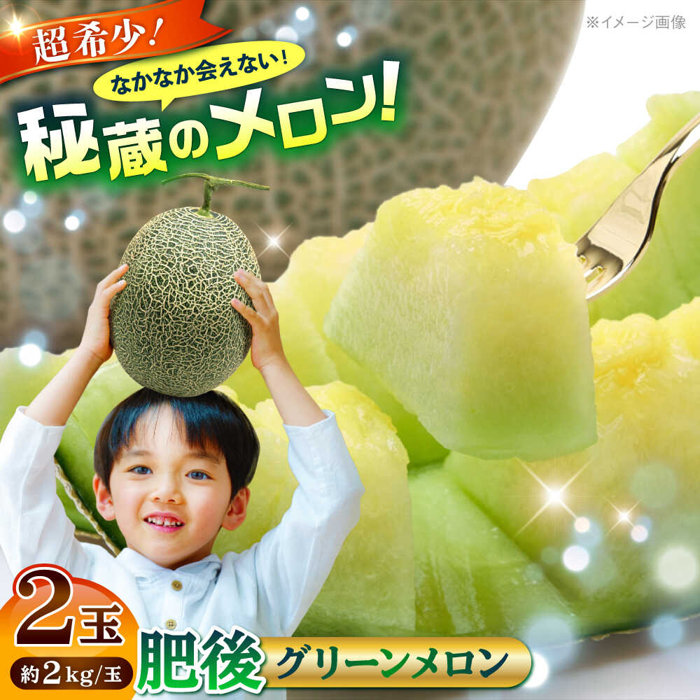 【2026年発送分 先行予約】【数量限定】肥後グリーンメロン 2玉 計4kg 【合同会社 福福堂】[AYAC045] メロン めろん 人気 鮮度 味 人気 評判 産地 高級 種類 甘さ フレッシュ ジューシー 熊本県 合志 果物 くだもの フルーツ 人気 季節 おすすめ ブランド