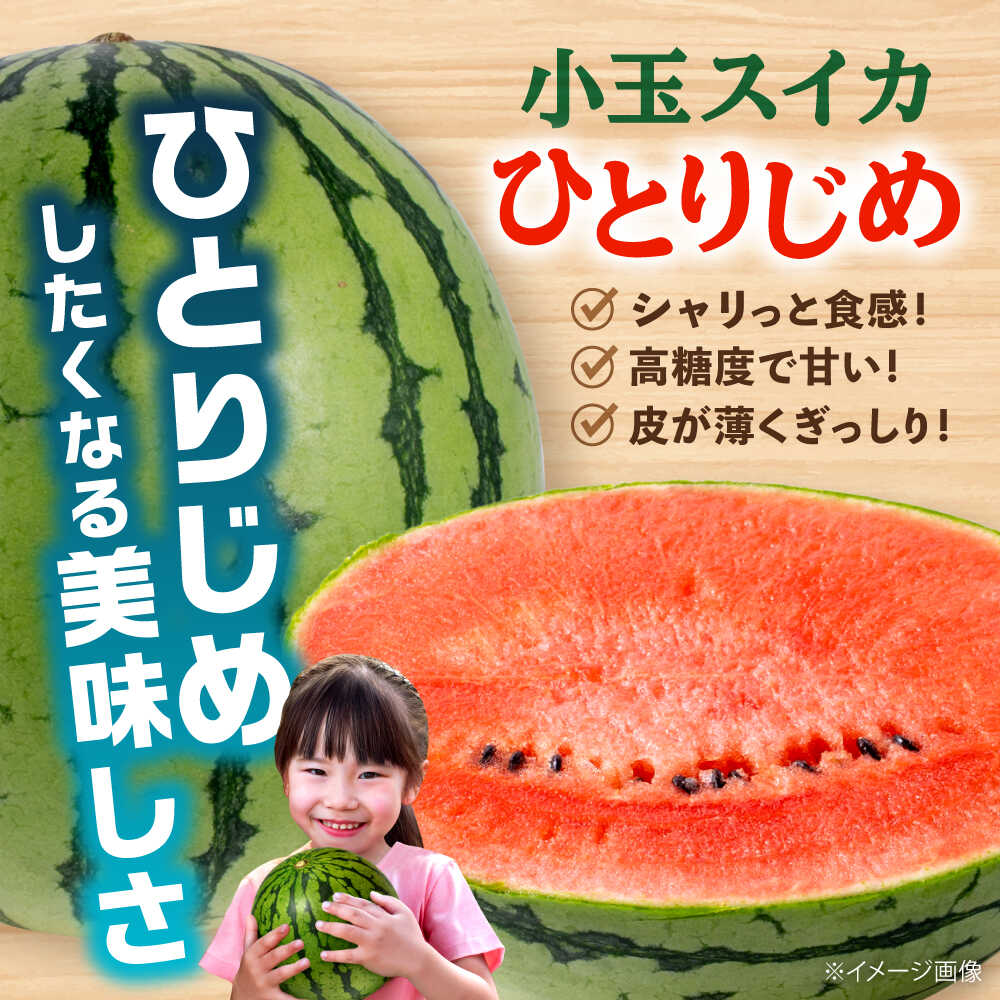 【ふるさと納税】【2026年発送分 先行予約】【数量限定】小玉 すいか 2玉 ひとりじめ 計4kg 【合同会社 福福堂】[AYAC046] スイカ 西瓜 人気 評判 産地 高級 種類 甘さ 大玉 小玉 レビュー 比較 フレッシュ 国産 熊本県産 合志市 果物 くだもの フルーツ 人気 特産 ブランド サムネイル3