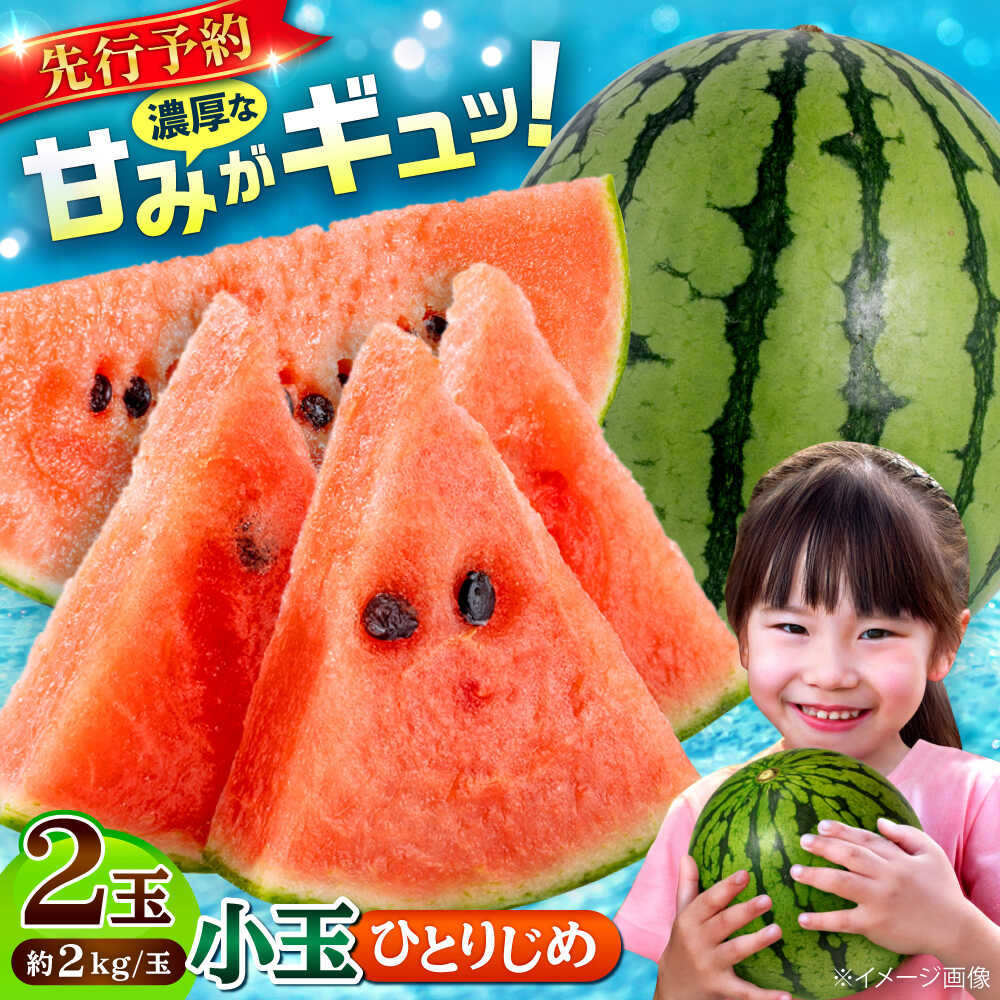 【2026年発送分 先行予約】【数量限定】小玉 すいか 2玉 ひとりじめ 計4kg 【合同会社 福福堂】[AYAC046] スイカ 西瓜 人気 評判 産地 高級 種類 甘さ 大玉 小玉 レビュー 比較 フレッシュ 国産 熊本県産 合志市 果物 くだもの フルーツ 人気 特産 ブランド