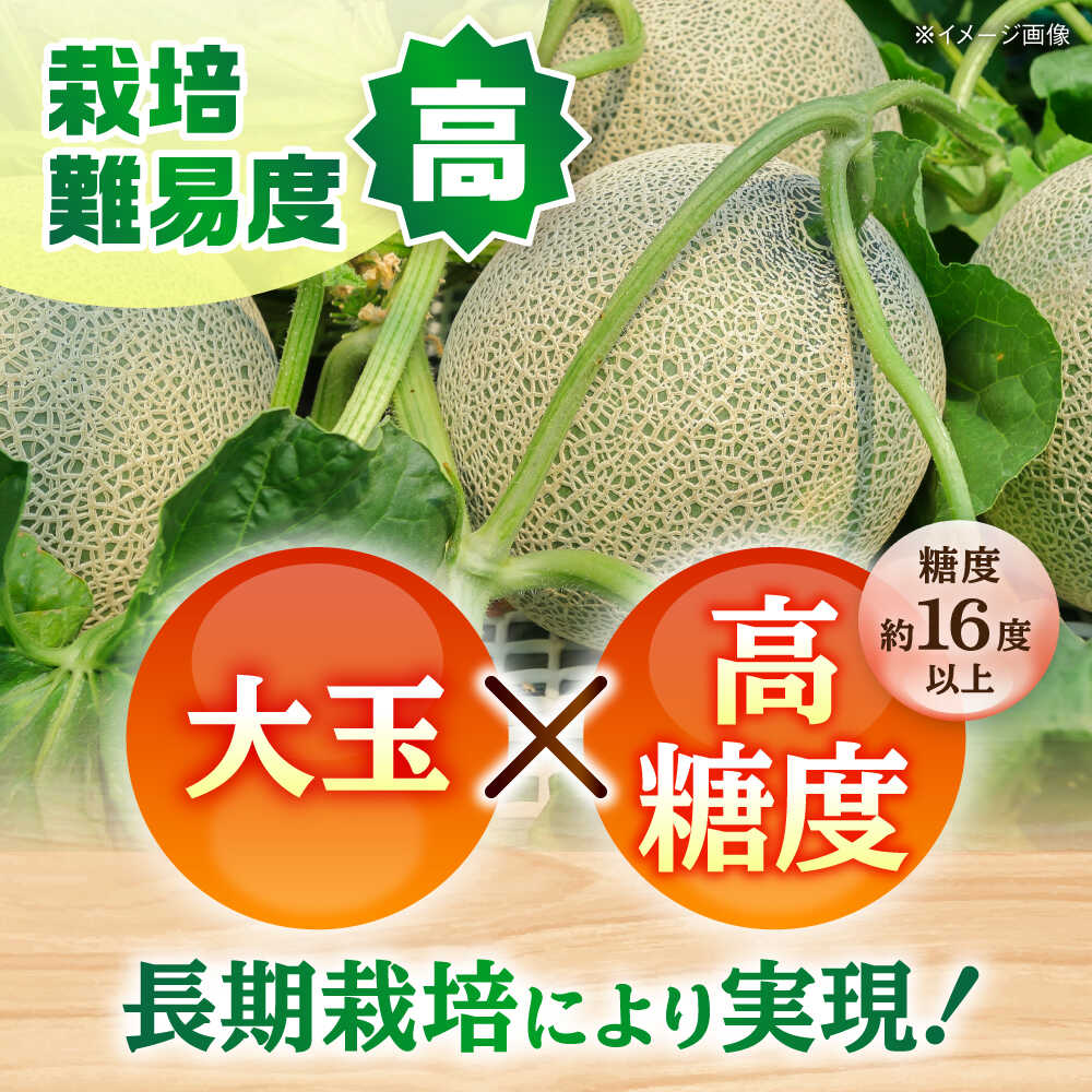 【ふるさと納税】【2026年発送分 先行予約】【数量限定】肥後グリーンメロン 1玉 計約2kg 【合同会社 福福堂】[AYAC053] メロン めろん 人気 鮮度 味 人気 評判 産地 高級 種類 甘さ フレッシュ ジューシー 熊本県 合志 果物 くだもの フルーツ 人気 季節 おすすめ ブランド サムネイル3