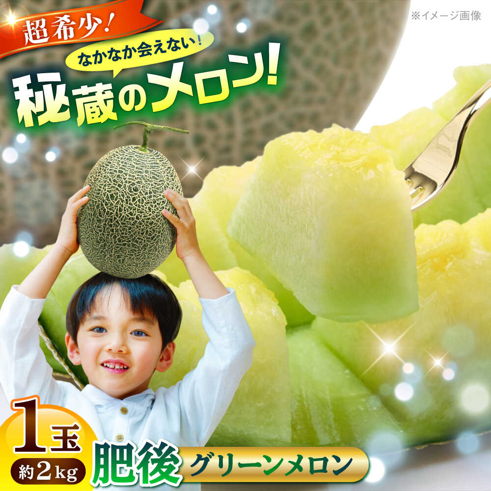 【2026年発送分 先行予約】【数量限定】肥後グリーンメロン 1玉 計約2kg 【合同会社 福福堂】[AYAC053] メロン めろん 人気 鮮度 味 人気 評判 産地 高級 種類 甘さ フレッシュ ジューシー 熊本県 合志 果物 くだもの フルーツ 人気 季節 おすすめ ブランド