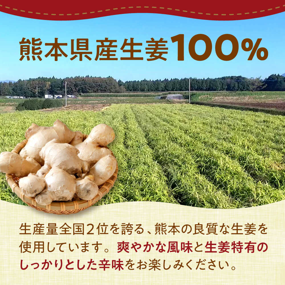 【ふるさと納税】料理に使えるしょうが＆レモン 約150g×5個 セット 合計約750g【ジンジベル】[AYAD006] サムネイル3