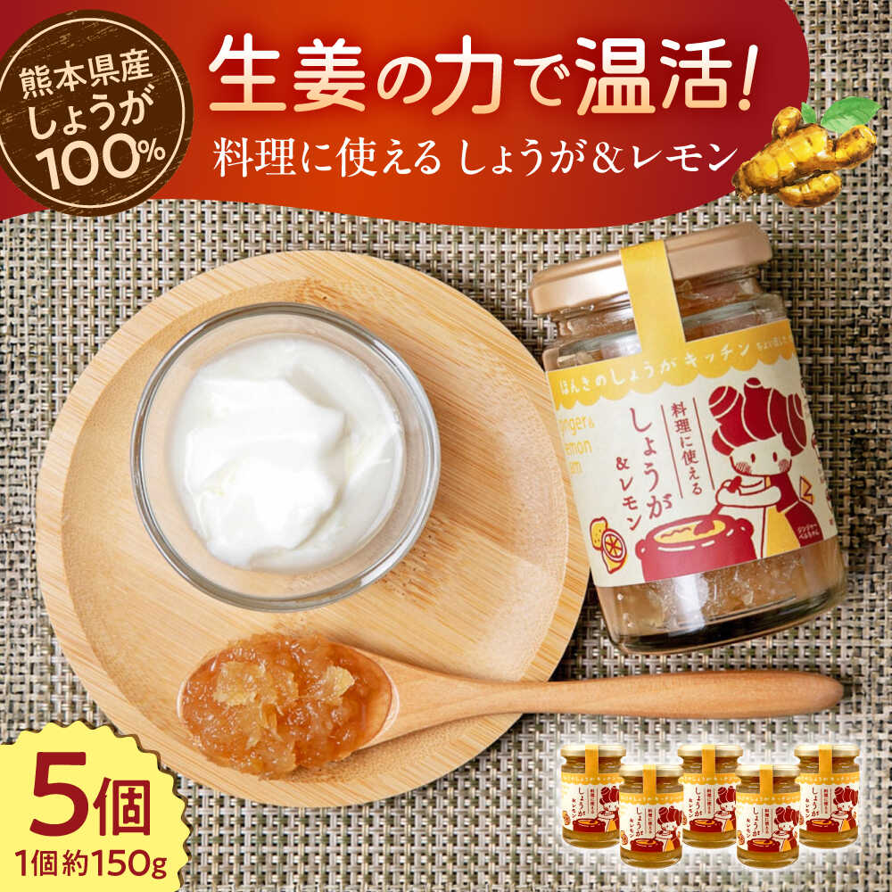 料理に使えるしょうが＆レモン 約150g×5個 セット 合計約750g【ジンジベル】[AYAD006]