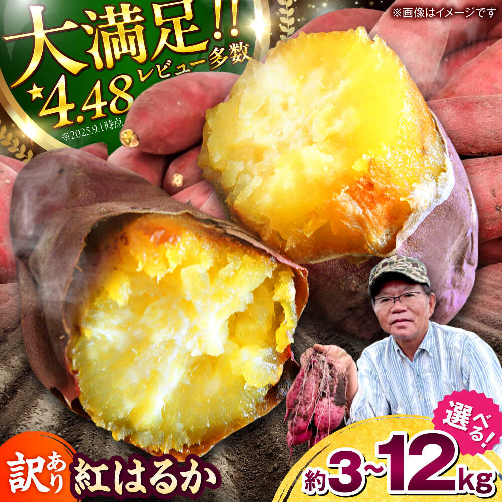 【先行予約】【訳あり/数量限定】 〈選べる容量！〉紅はるか さつまいも 約3~12kg 【Shiro Planning 株式会社】[AYAJ001] 芋 いも サツマイモ さつま芋 甘藷 唐芋 種類 保存方法 長期保存 旬 産地 サイズ 完熟 熟成 焼芋 焼き芋 焼きいも やきいも スイーツ