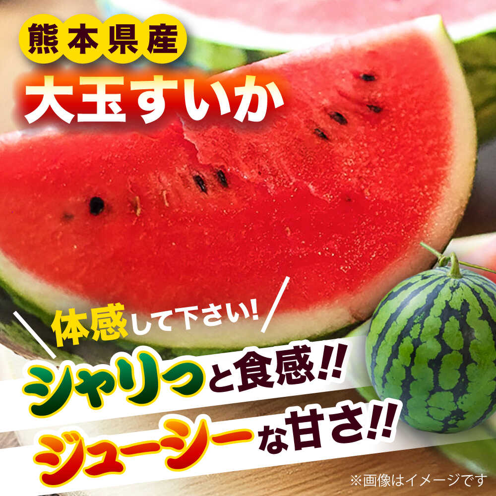 【ふるさと納税】【2026年発送分先行予約 数量限定】【訳あり】大玉すいか 1玉 約6kg～9kg 熊本 スイカ 西瓜 大玉 フルーツ 果物 甘い シャリシャリ スイカ おおだますいか 熊本県産 合志市 送料無料 【株式会社 Foody’s】[AYAT007] サムネイル2