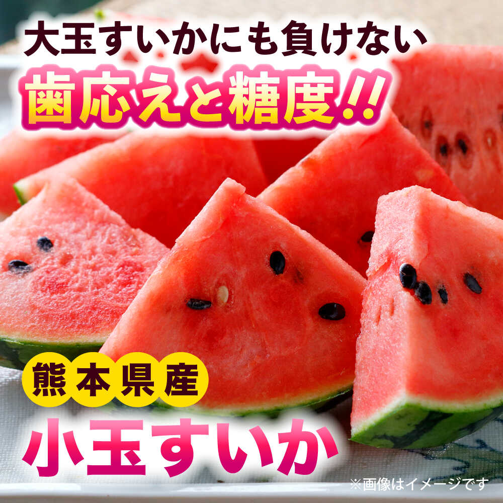 【ふるさと納税】【2026年発送分先行予約 数量限定】【訳あり】小玉すいか 2玉 約2kg～3kg 熊本 スイカ 西瓜 小玉 フルーツ 果物 甘い シャリシャリ スイカ こだますいか 熊本県産 合志市 送料無料【株式会社 Foody’s】[AYAT009] サムネイル2