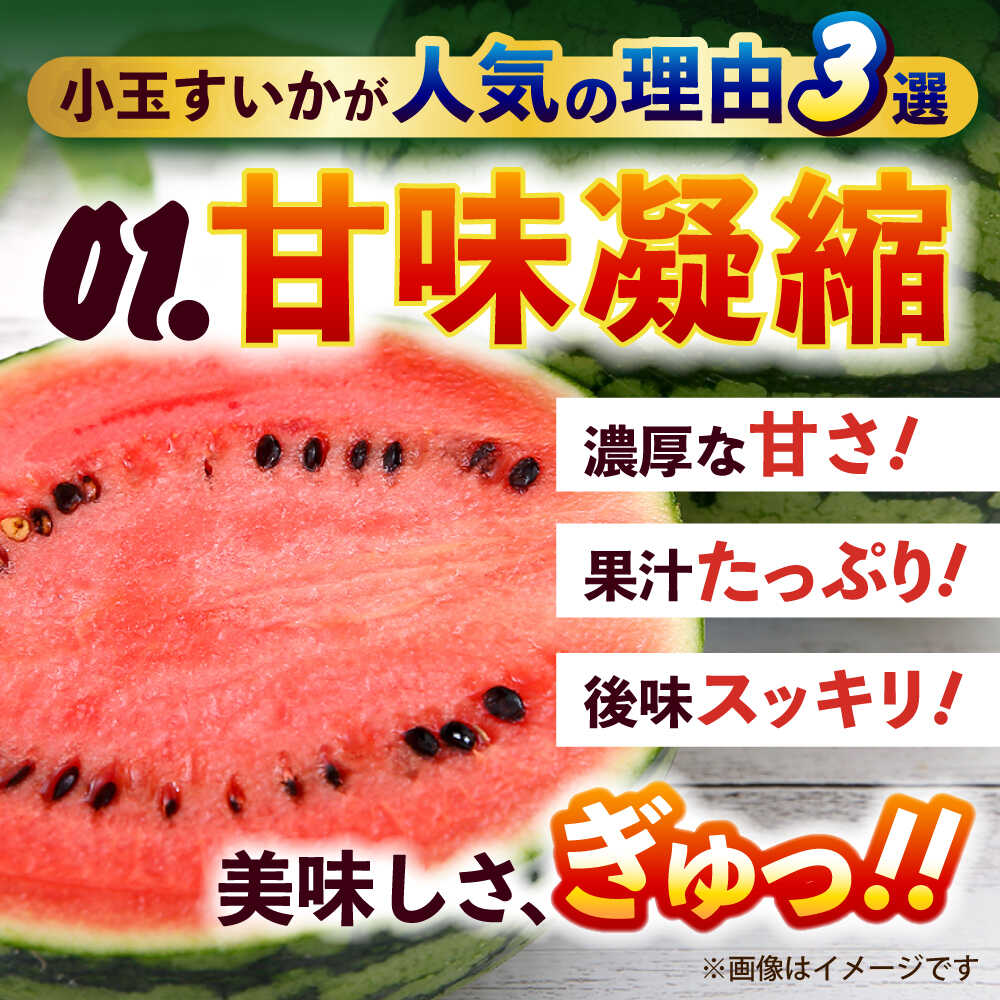【ふるさと納税】【2026年発送分先行予約 数量限定】【訳あり】小玉すいか 2玉 約2kg～3kg 熊本 スイカ 西瓜 小玉 フルーツ 果物 甘い シャリシャリ スイカ こだますいか 熊本県産 合志市 送料無料【株式会社 Foody’s】[AYAT009] サムネイル3