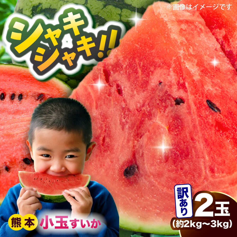 【2026年発送分先行予約 数量限定】【訳あり】小玉すいか 2玉 約2kg～3kg 熊本 スイカ 西瓜 小玉 フルーツ 果物 甘い シャリシャリ スイカ こだますいか 熊本県産 合志市 送料無料【株式会社 Foody’s】[AYAT009]