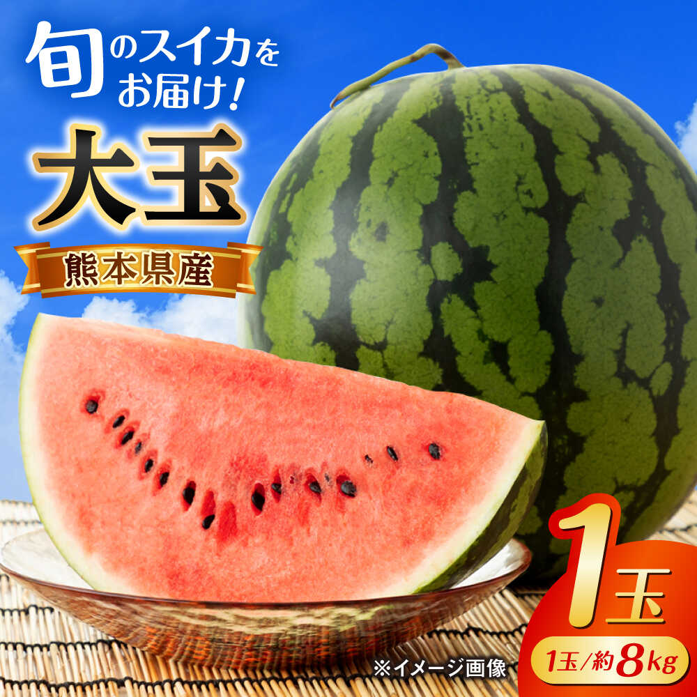 【2026年発送分先行予約】【数量限定】大玉 西瓜 1玉入り 約8kg 熊本 スイカ 西瓜 大玉 フルーツ 果物 甘い シャリシャリ スイカ おおだますいか 熊本県産 合志市 送料無料 【株式会社 GGYパッケージ】[AYAU001]