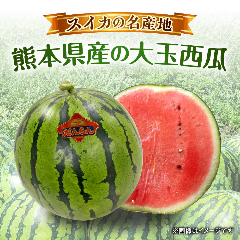 【ふるさと納税】【2026年発送分先行予約】【数量限定】大玉 西瓜 2玉入り (1玉約8kg以上×2玉) 熊本 スイカ 西瓜 大玉 フルーツ 果物 甘い シャリシャリ スイカ おおだますいか 熊本県産 合志市 送料無料【株式会社 GGYパッケージ】[AYAU002] サムネイル2