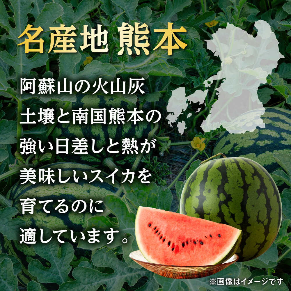 【ふるさと納税】【2026年発送分先行予約】【数量限定】大玉 西瓜 2玉入り (1玉約8kg以上×2玉) 熊本 スイカ 西瓜 大玉 フルーツ 果物 甘い シャリシャリ スイカ おおだますいか 熊本県産 合志市 送料無料【株式会社 GGYパッケージ】[AYAU002] サムネイル3
