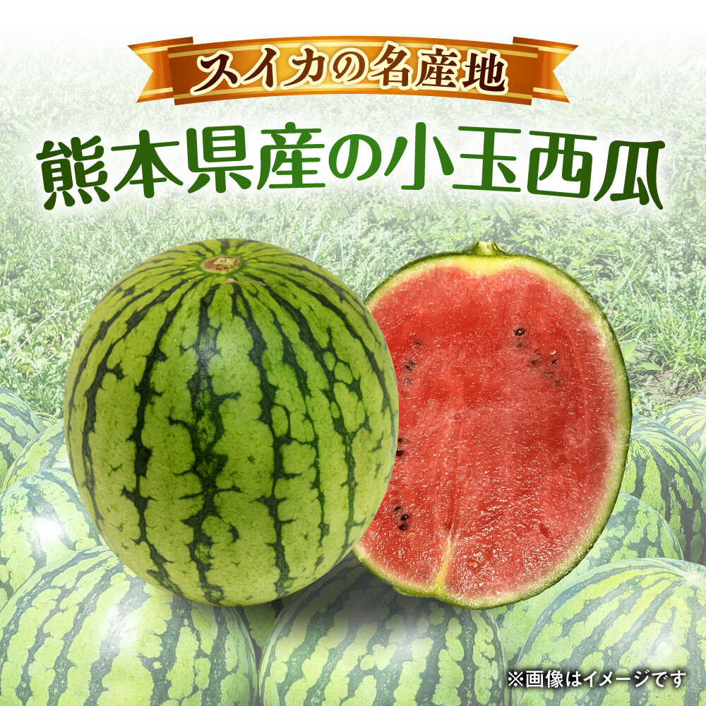 【ふるさと納税】【2026年発送分先行予約】【数量限定】こだま西瓜 1箱約8kg (3L～M 3～6玉入り) 熊本 スイカ 西瓜 小玉 フルーツ 果物 甘い シャリシャリ スイカ こだますいか 熊本県産 合志市 送料無料【株式会社 GGYパッケージ】[AYAU003] サムネイル2