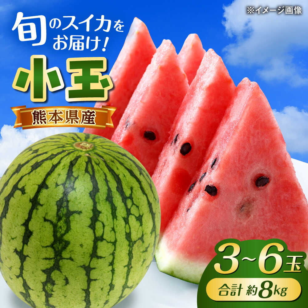 【2026年発送分先行予約】【数量限定】こだま西瓜 1箱約8kg (3L～M 3～6玉入り) 熊本 スイカ 西瓜 小玉 フルーツ 果物 甘い シャリシャリ スイカ こだますいか 熊本県産 合志市 送料無料【株式会社 GGYパッケージ】[AYAU003]