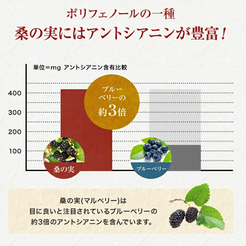 【ふるさと納税】【お歳暮対象】桑の実 ワイン （甘口・辛口） 500ml×2本【株式会社 峯樹木園】 合志市 熊本県 熟成ワイン ワイン わいん 酒 お酒 洋酒 果実酒 辛口 甘口 桑の実 マルベリー お祝い 贈り物 飲み比べ セット [AYBM006] サムネイル2