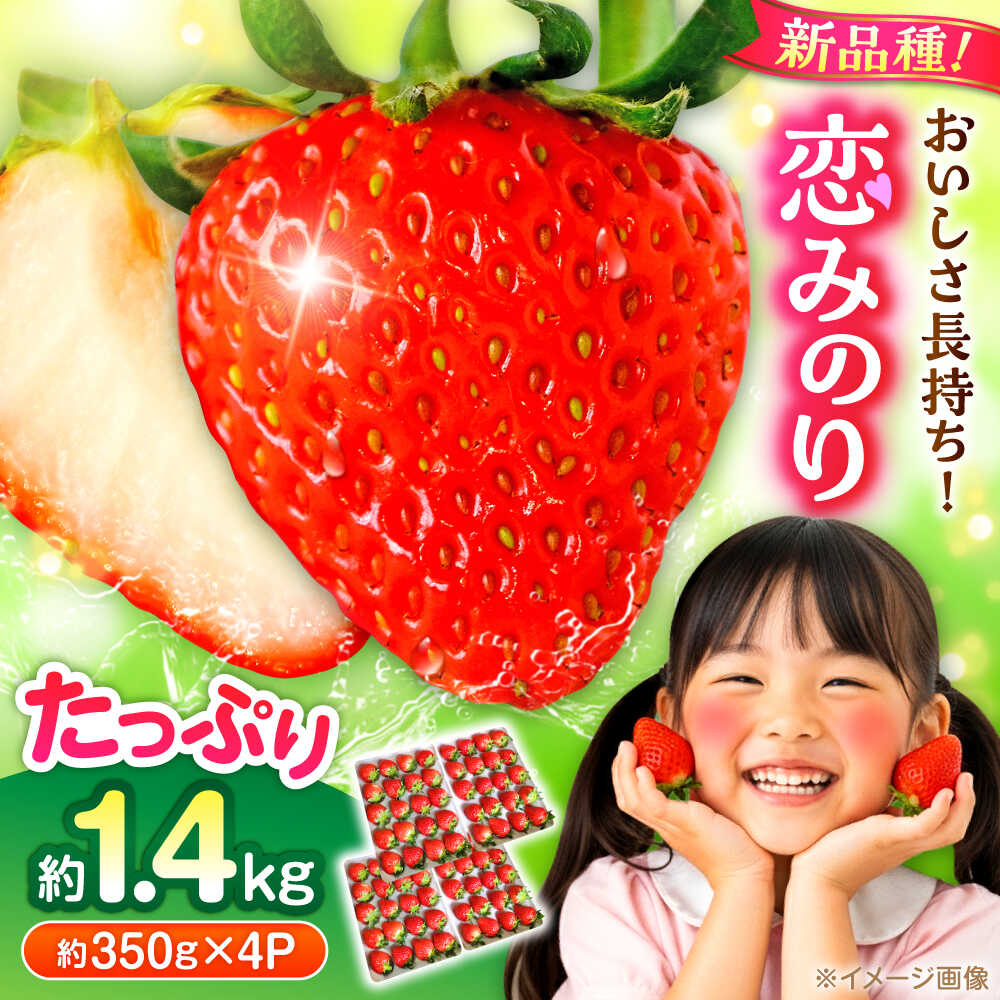 【先行予約】いちご 恋みのり 百花園ファーム 約1.4kg（約350g×4P）20粒/P Lサイズ 【亀井通産 株式会社】[AYBQ031]