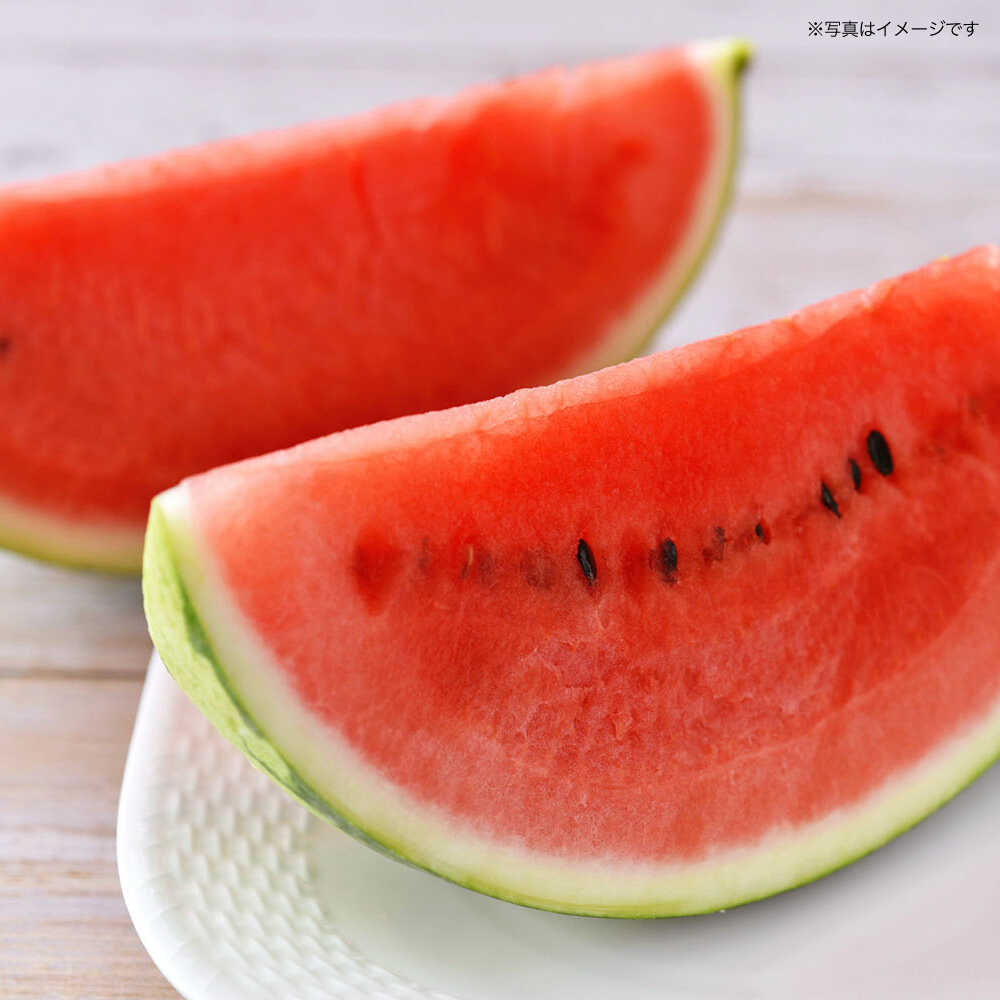 【ふるさと納税】【先行予約】大玉 スイカ　1玉（約7〜9kg）【中島農園】合志 熊本県 西瓜 すいか 果物 スイカ フルーツ くだもの 甘い 新鮮 果汁 ジューシー 大玉 期間限定 季節の果物 [AYCX001] サムネイル2