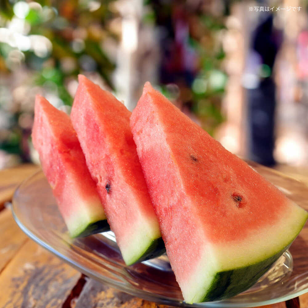 【ふるさと納税】【先行予約】大玉 スイカ　1玉（約7〜9kg）【中島農園】合志 熊本県 西瓜 すいか 果物 スイカ フルーツ くだもの 甘い 新鮮 果汁 ジューシー 大玉 期間限定 季節の果物 [AYCX001] サムネイル3