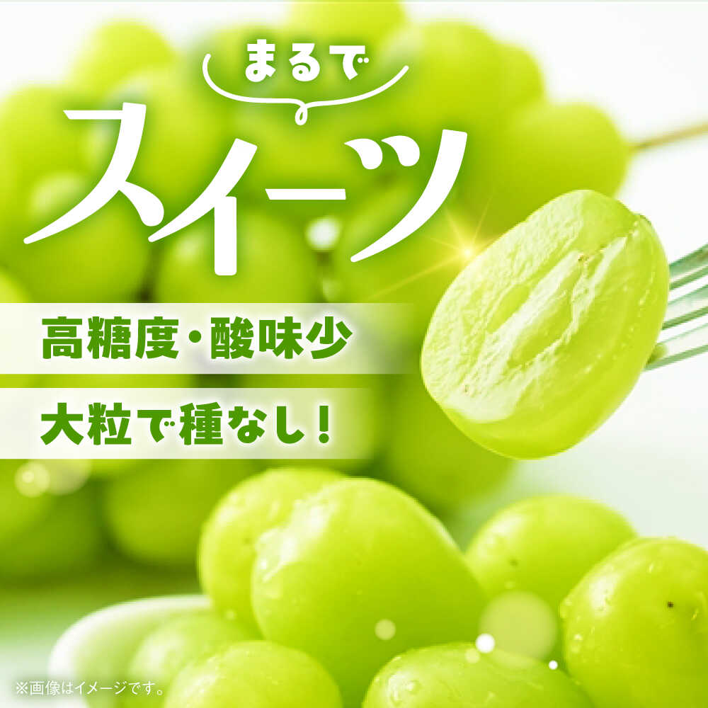 【ふるさと納税】【2026年発送分 先行予約】【数量限定】シャインマスカット 1房（約500～700g）　【中島農園】 合志市 熊本県 産地直送 マスカット ますかっと シャインマスカット しゃいんますかっと ブドウ 葡萄 果物 くだもの 大粒 種なし 皮ごと 季節限定 [AYCX002] サムネイル3