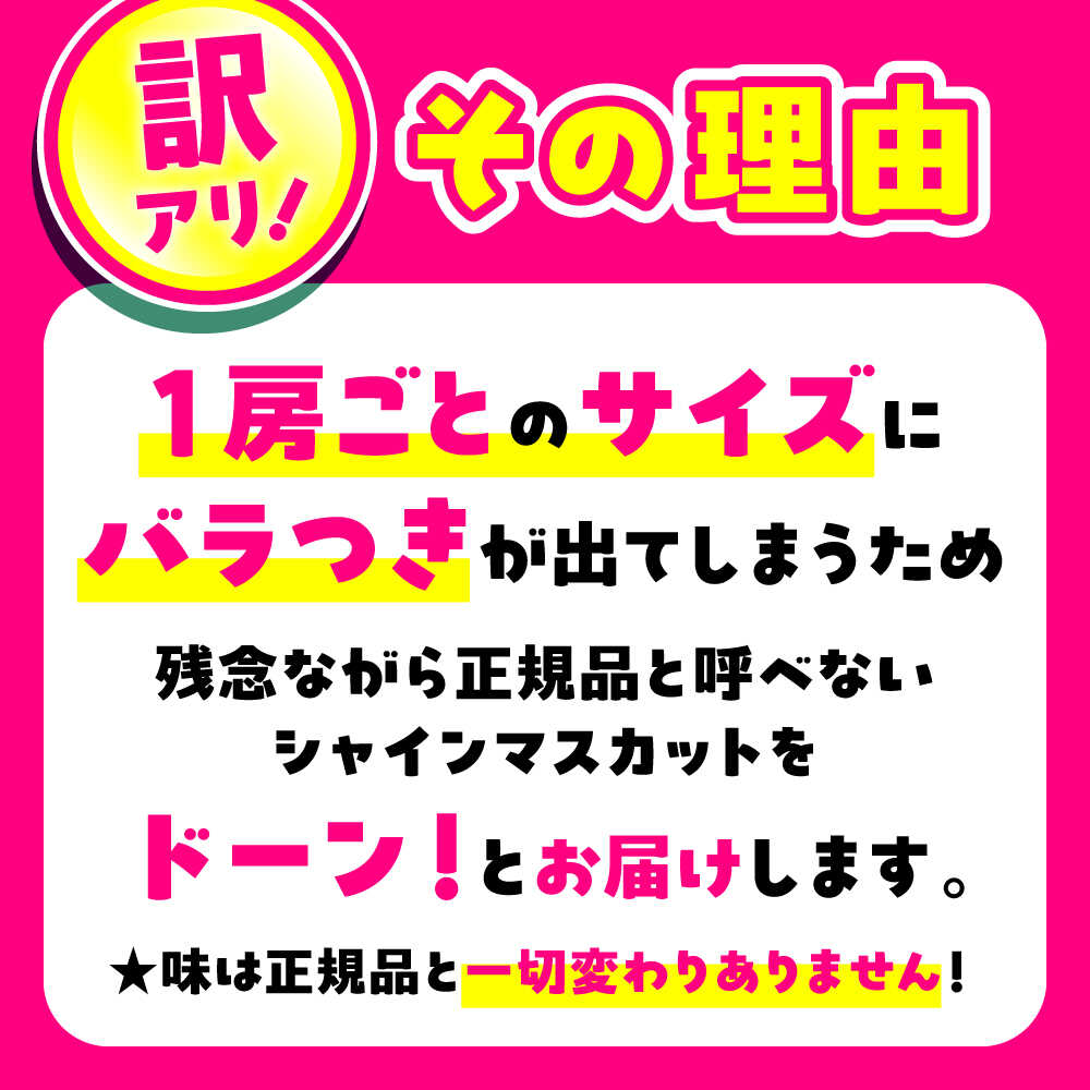 【ふるさと納税】【2026年発送分 先行予約】【数量限定】【訳あり】シャインマスカット　約1.2kg（2房）　【中島農園】合志市 熊本県 産地直送 マスカット ますかっと シャインマスカット ブドウ 葡萄 果物 くだもの 大粒 種なし 皮ごと 季節限定 訳あり [AYCX003] サムネイル2