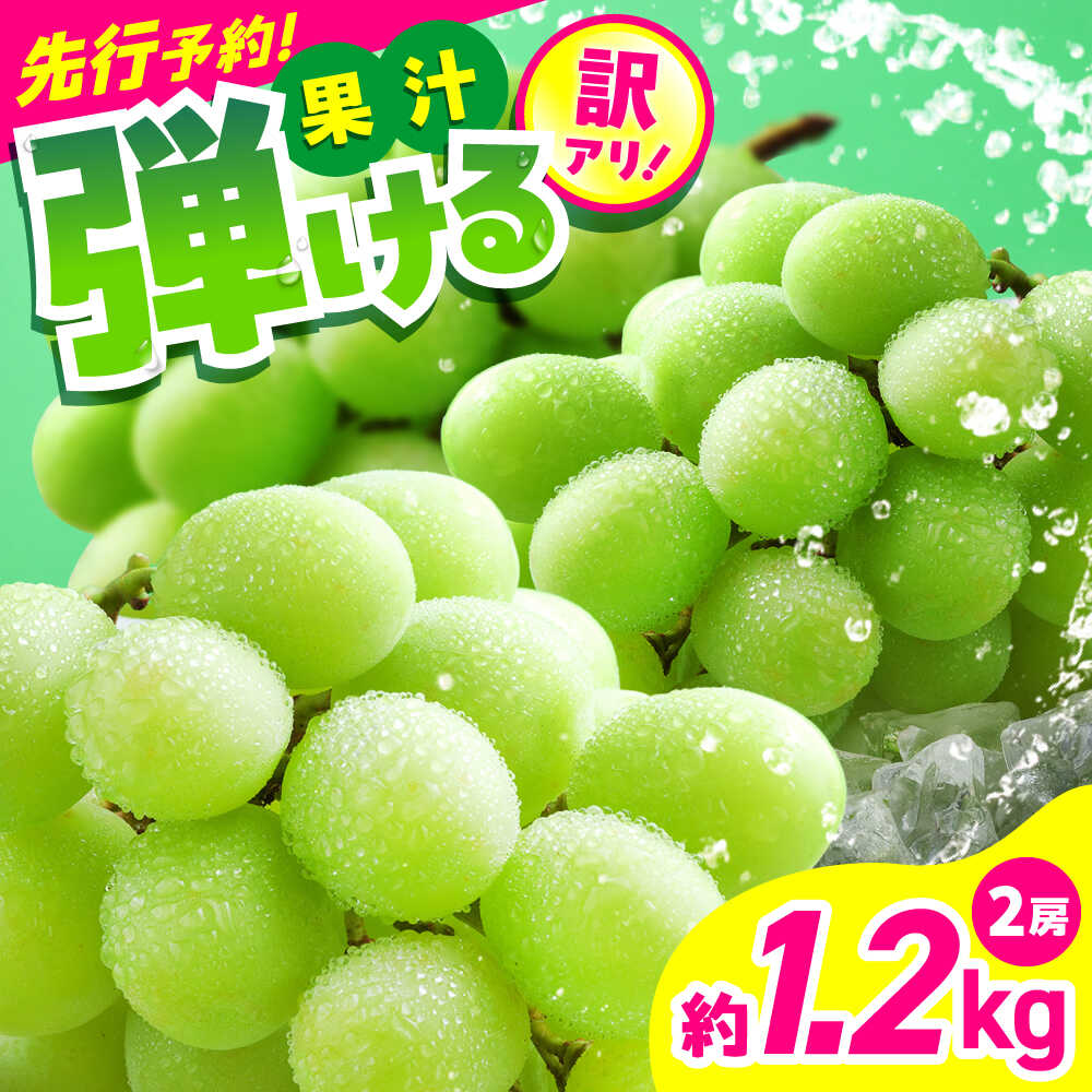 【2026年発送分 先行予約】【数量限定】【訳あり】シャインマスカット　約1.2kg（2房）　【中島農園】合志市 熊本県 産地直送 マスカット ますかっと シャインマスカット ブドウ 葡萄 果物 くだもの 大粒 種なし 皮ごと 季節限定 訳あり [AYCX003]