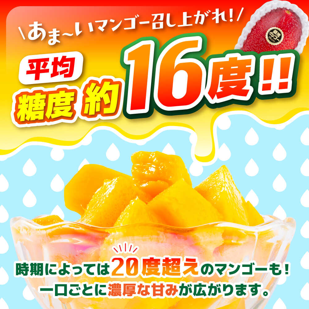 【ふるさと納税】【2026年発送分 先行予約】【訳あり】 菊池マンゴー約1kg（2〜3玉） L〜4Lサイズ　【友枝マンゴー農園】[AYDF001] マンゴー 完熟マンゴー 菊池マンゴー アーウィン とろける 濃厚 甘い ジューシー 南国フルーツ 高級フルーツ 贈答用 訳あり サムネイル2