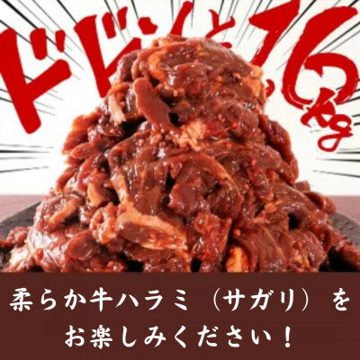 【ふるさと納税】【楽天限定】 秘伝コク旨 訳あり 牛サガリ (ハラミ) 肉 合計1.6kg【配送不可地域：離島】【1607754】 サムネイル2