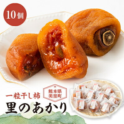 美里町産の干し柿　一粒干し柿　里のあかり　10個セット(約500g)【配送不可地域：離島】【1676772】
