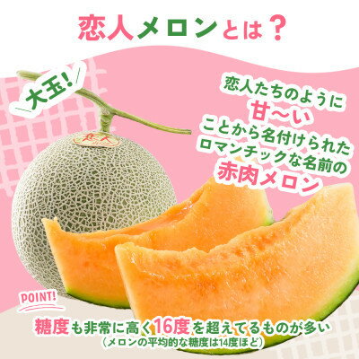 【ふるさと納税】【期間限定 数量限定】熊本県 美里町 「恋人メロン」 赤肉メロン 約1.4kg(1玉)【上田農園】【1680907】 サムネイル2