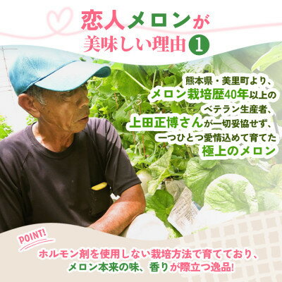 【ふるさと納税】【期間限定 数量限定】熊本県 美里町 「恋人メロン」 計約2.8kg(2玉～3玉)【上田農園】【1680908】 サムネイル3