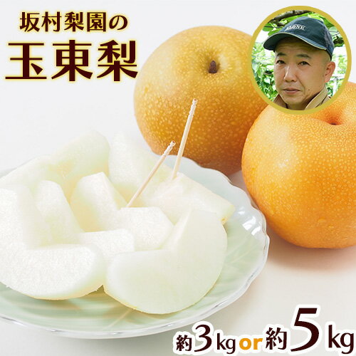 秋 旬 梨 フルーツ 期間限定 坂村梨園 玉東梨 熊本県玉名郡玉東町 約3kg(4〜10玉前後) 約5kg(5〜18玉前後) 梨 なし 果物 旬の梨 《8月中旬-11月上旬頃出荷》豊水 秋麗 あきづき 甘太 新高 新興
