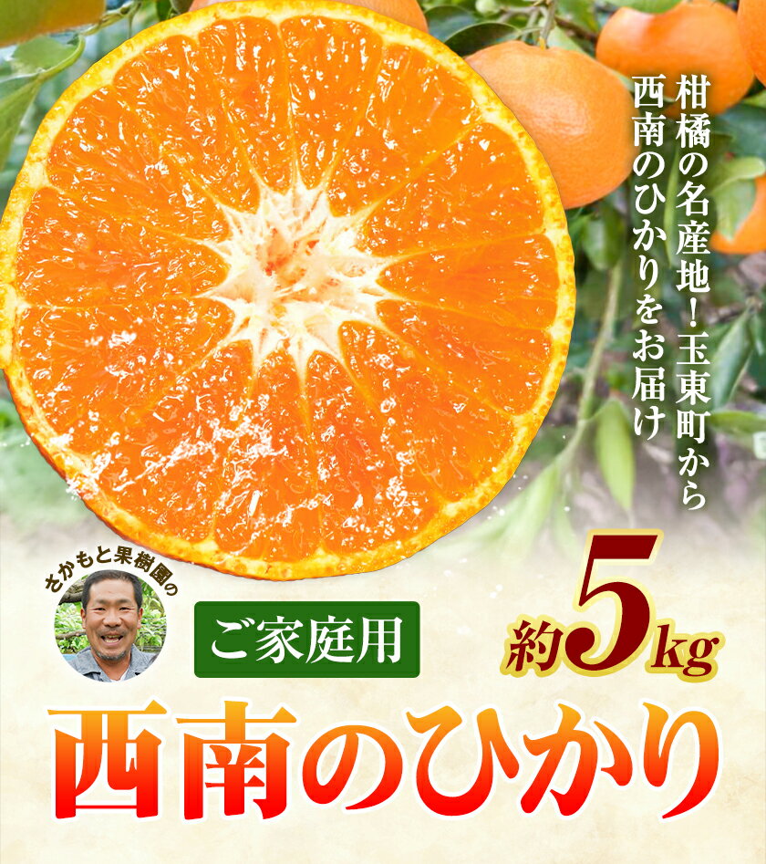【ふるさと納税】 西南のひかり 約5kg さかもと果樹園《11月中旬-12月末頃出荷》熊本県 玉名郡 玉東町 みかん 柑橘 フルーツ 果物 ご家庭用 サイズミックス サムネイル2