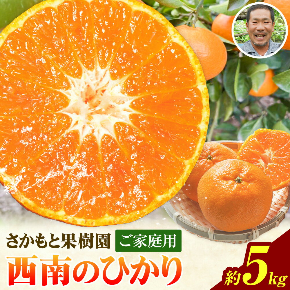 西南のひかり 約5kg さかもと果樹園《11月中旬-12月末頃出荷》熊本県 玉名郡 玉東町 みかん 柑橘 フルーツ 果物 ご家庭用 サイズミックス