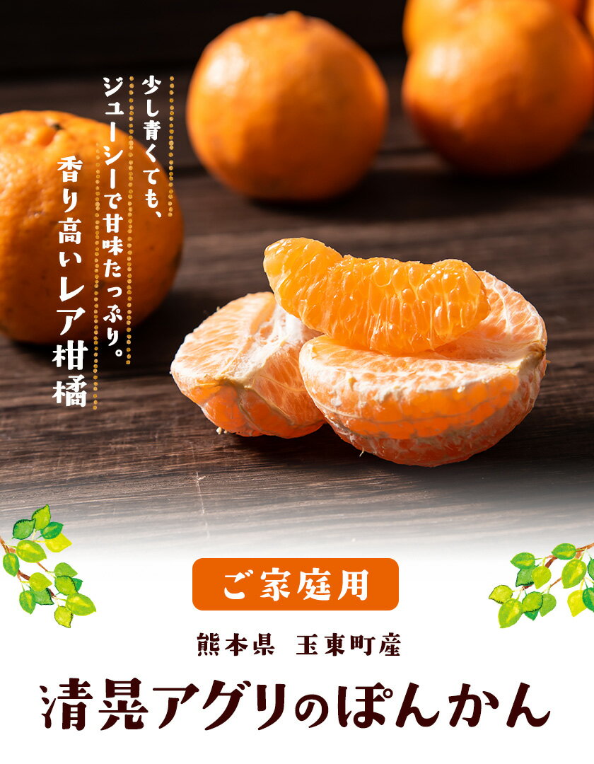 【ふるさと納税】秋 旬 期間限定 『清晃アグリ』のご家庭用 ポンカン 約4kg(M-3Lサイズ) 【日付指定不可】 予約受付中 フルーツ 秋 旬 少し青くても甘くて ジューシー ♪熊本 県 玉名 郡 玉東 町『清晃アグリ』ポンカン《12月中旬-1月中旬頃出荷》 ぽんかん サムネイル2