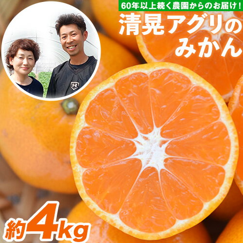 みかん 柑橘 『清晃アグリ』 みかん 約4kg(2S-2Lサイズ) 【日付指定不可】 予約受付中 フルーツ 秋 旬★熊本 県 玉名 郡 玉東 町 健康 土 ジューシー おいしい みかん ！《11月中旬-12月末頃出荷(土日祝除く)》 美味しい 甘い
