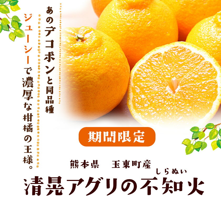 【ふるさと納税】『清晃アグリ』の不知火(しらぬい) 【日付指定不可】 予約受付中 フルーツ 旬★あのデコポンと同品種★約4kg(L-4Lサイズ)10玉-16玉前後 熊本県玉名郡玉東町『清晃アグリ』不知火《3月上旬-3月下旬頃出荷》 サムネイル2
