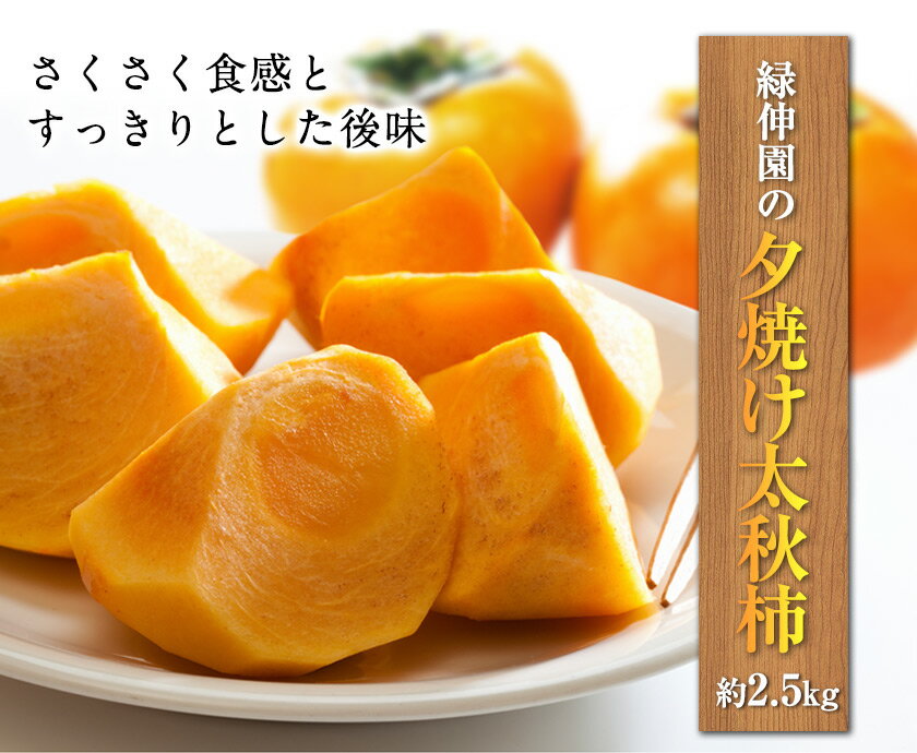 【ふるさと納税】『緑伸園』の大玉 夕焼け太秋柿 約2.5kg 4-7玉前後 予約受付中 フルーツ 秋 旬　柿 ★大きく綺麗な秋の夕日のような色と形★《11月下旬-12月中旬頃出荷》 サムネイル2